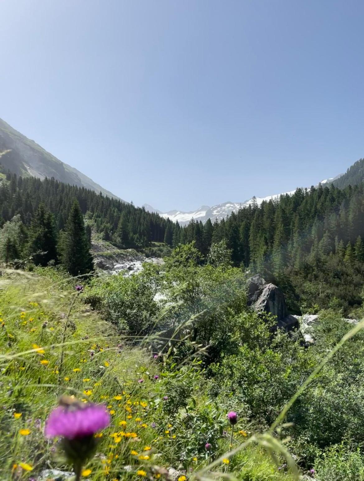 Hotel Gasthof Siggen Нойкирхен-ам-Гросфенедигер Экстерьер фото